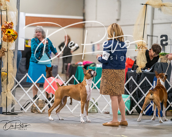 20261022-DSC03039