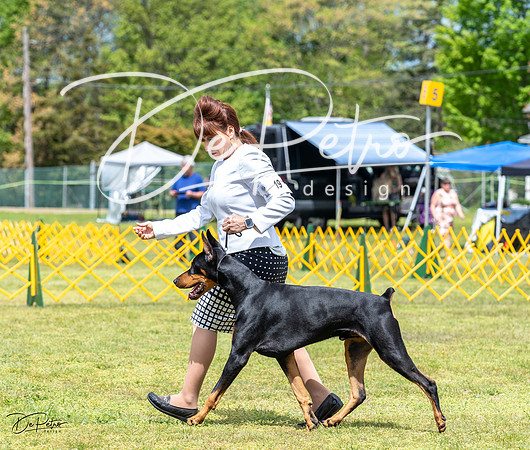 20230513-DSC08239