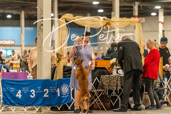 20261023-DSC05323