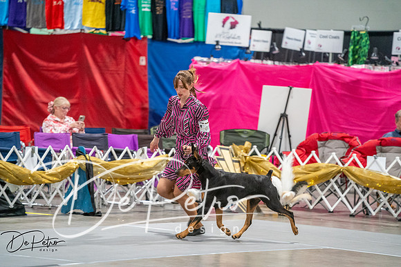20260926-DSC04826