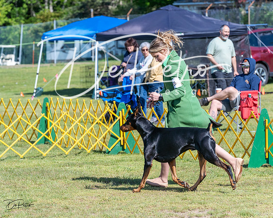 20230514-DSC03009