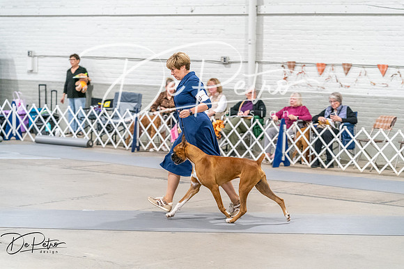 20261022-DSC00485