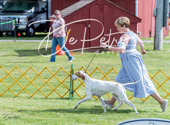 20230512-DSC05675