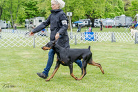20230428-DSC07637