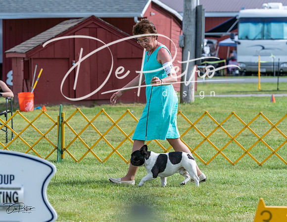 20230513-DSC00382