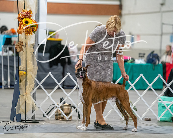 20261022-DSC02767