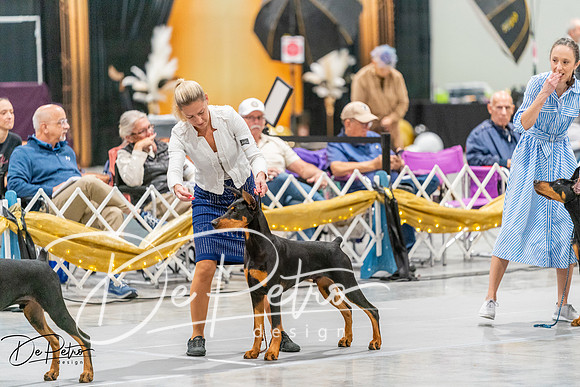 20260930-DSC06840