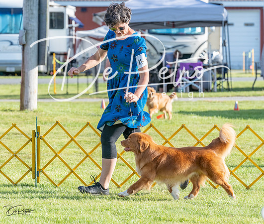 20230513-DSC02502
