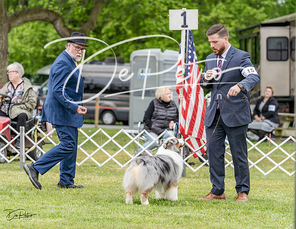 20230427-DSC07364