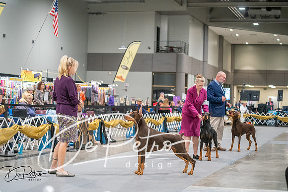 20260926-DSC04470