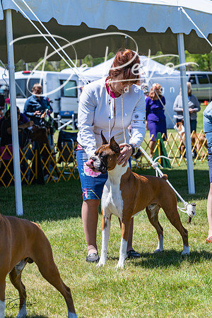20230514-DSC04272