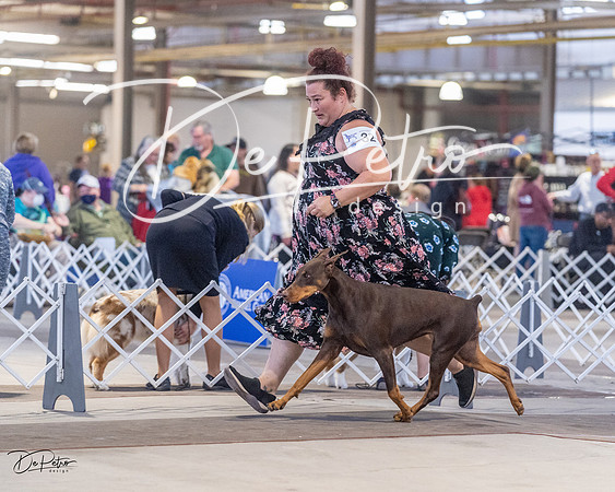 20230401-DSC06403