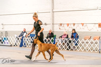 20261024-DSC08341