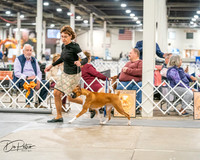 20261022-DSC01508