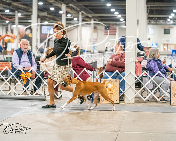 20261022-DSC01508