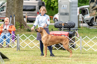 20230427-DSC06471
