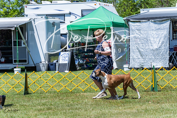 20230514-DSC04106