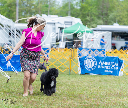 20230513-DSC08017