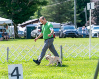 20240630-DSC02489