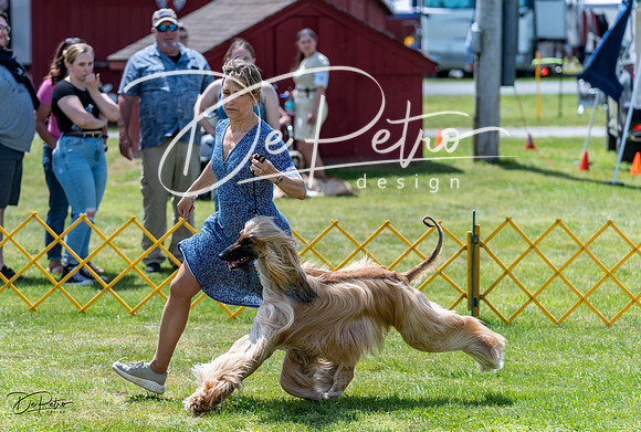 20230513-DSC09138