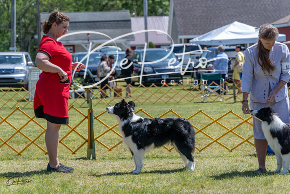 20230514-DSC04771