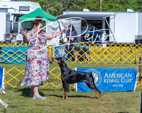 20230514-DSC02650