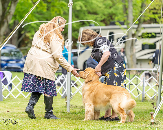 20230427-DSC03377