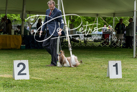 20230427-DSC04218