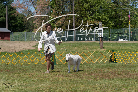 20230514-DSC04662