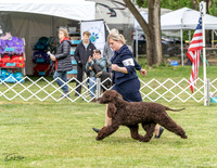 20230427-DSC07214