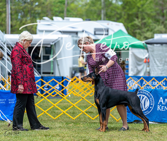 20230513-DSC08132