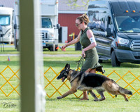 20230512-DSC07034