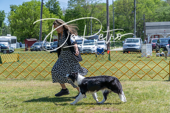 20230514-DSC05053
