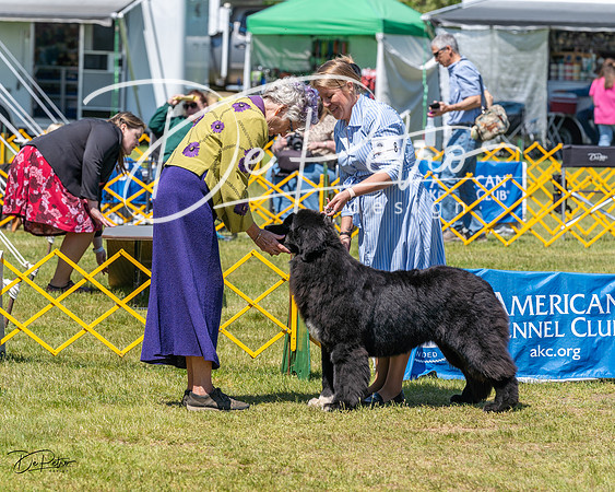 20230514-DSC03856
