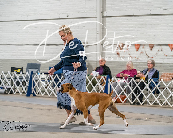 20261022-DSC03022