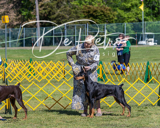 20230514-DSC02925