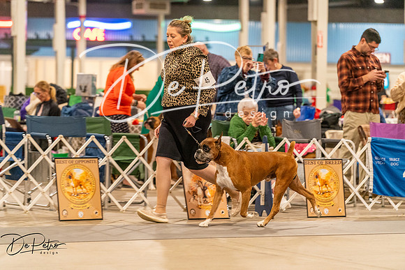 20261023-DSC05414