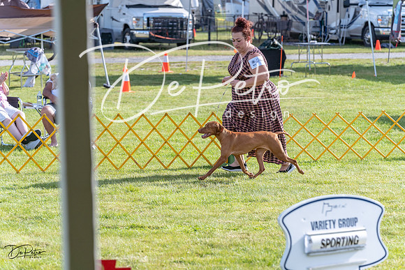 20230513-DSC01959