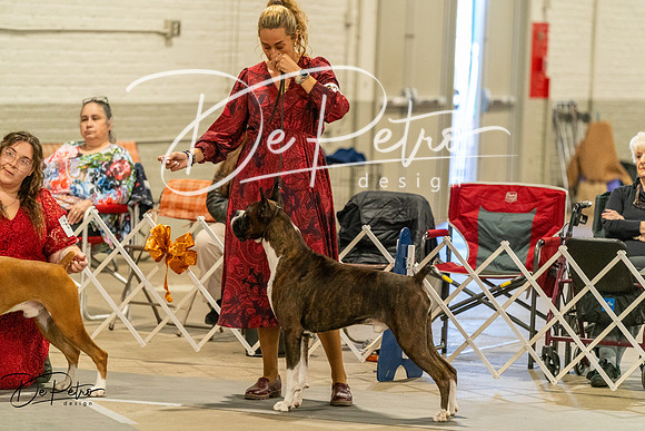20261023-DSC05754