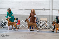 20261023-DSC04806