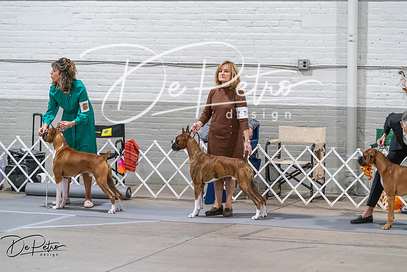 20261023-DSC04806