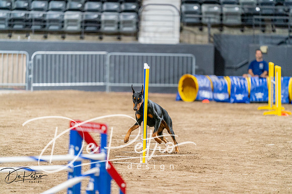 20260929-DSC06638