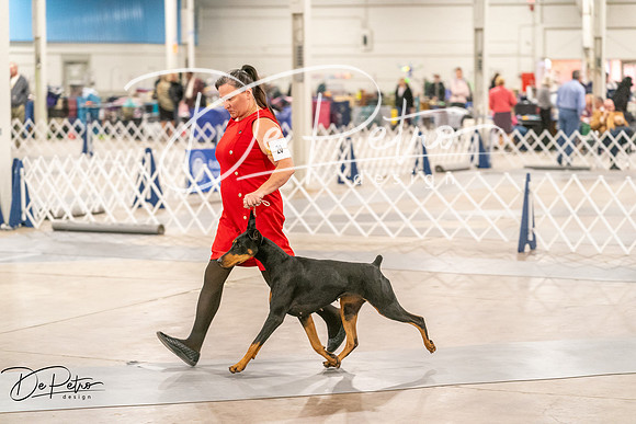 20261024-DSC00735