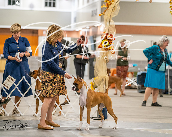 20261022-DSC03070