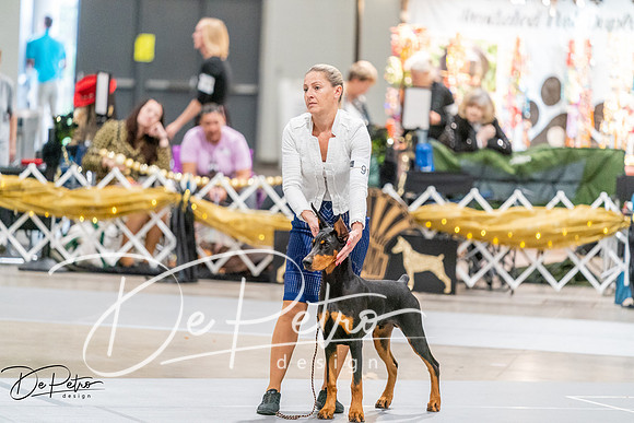 20260930-DSC07047