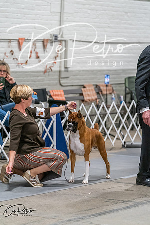 20261023-DSC05771