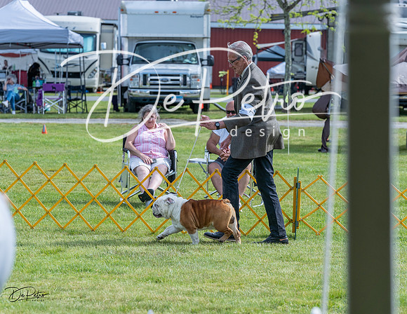 20230513-DSC00436