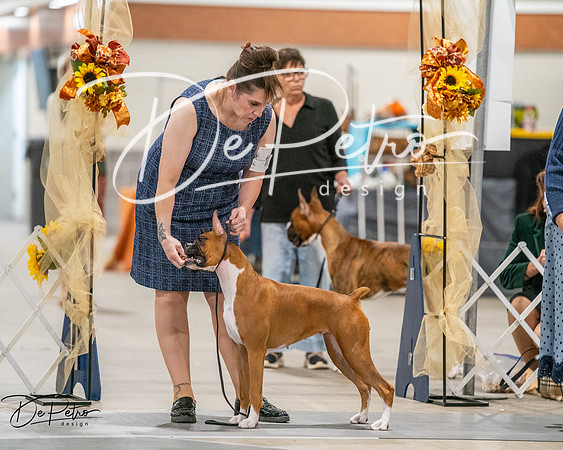20261022-DSC03167
