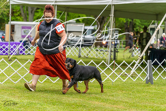 20230427-DSC02471