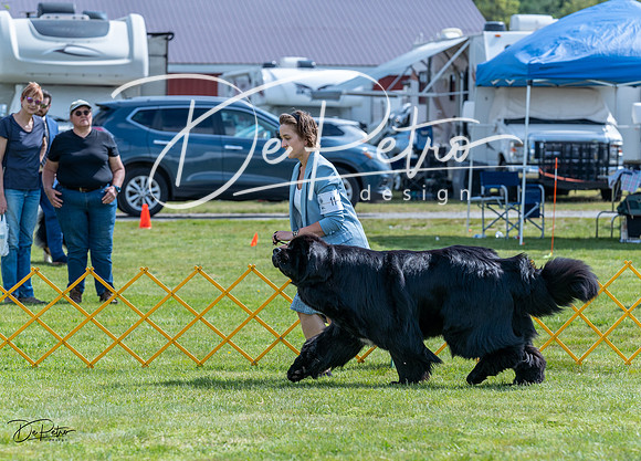 20230512-DSC05169